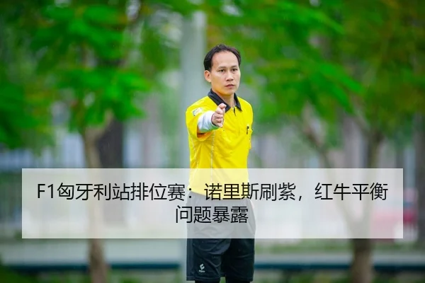 F1匈牙利站排位赛：诺里斯刷紫，红牛平衡问题暴露