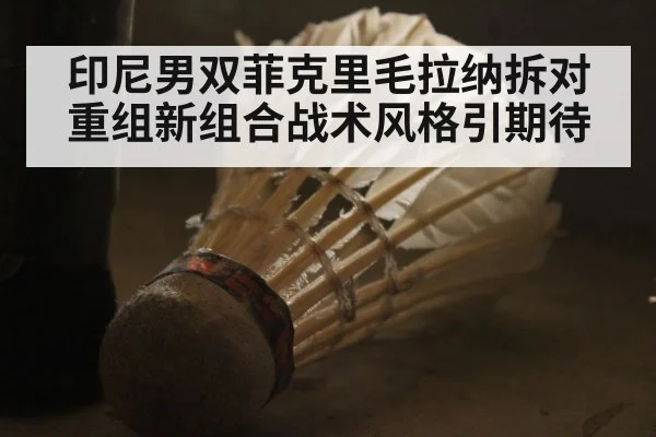 印尼男双菲克里毛拉纳拆对重组新组合战术风格引期待